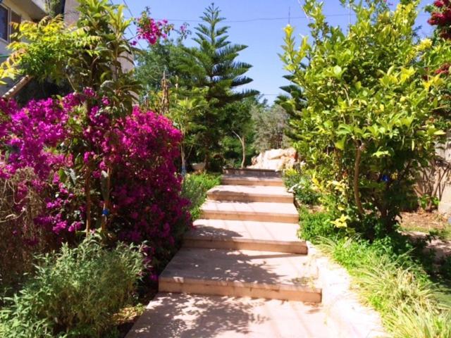 Jerusalem Hills Inn Abu Ghaush Buitenkant foto